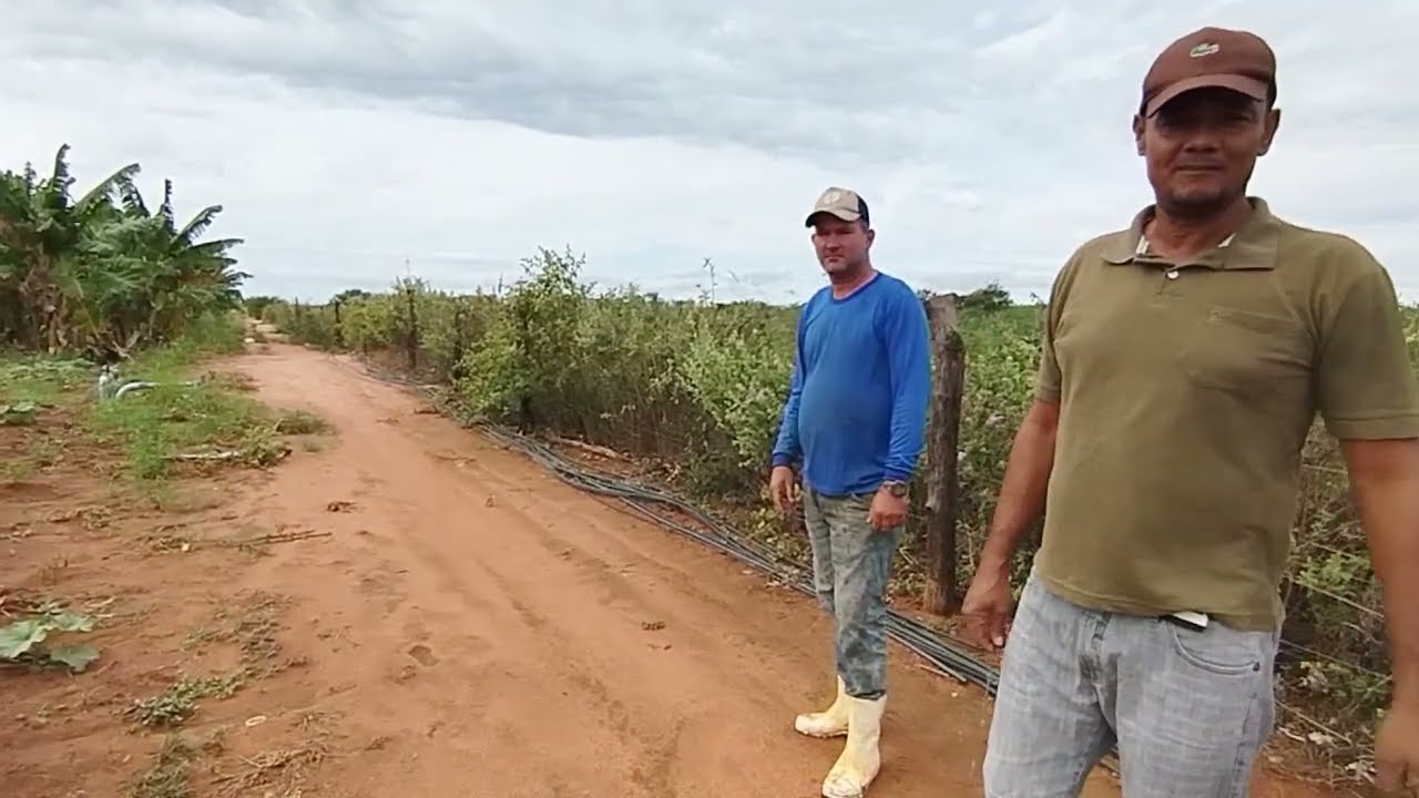  Sítio vendido no projeto jaiba norte minas 