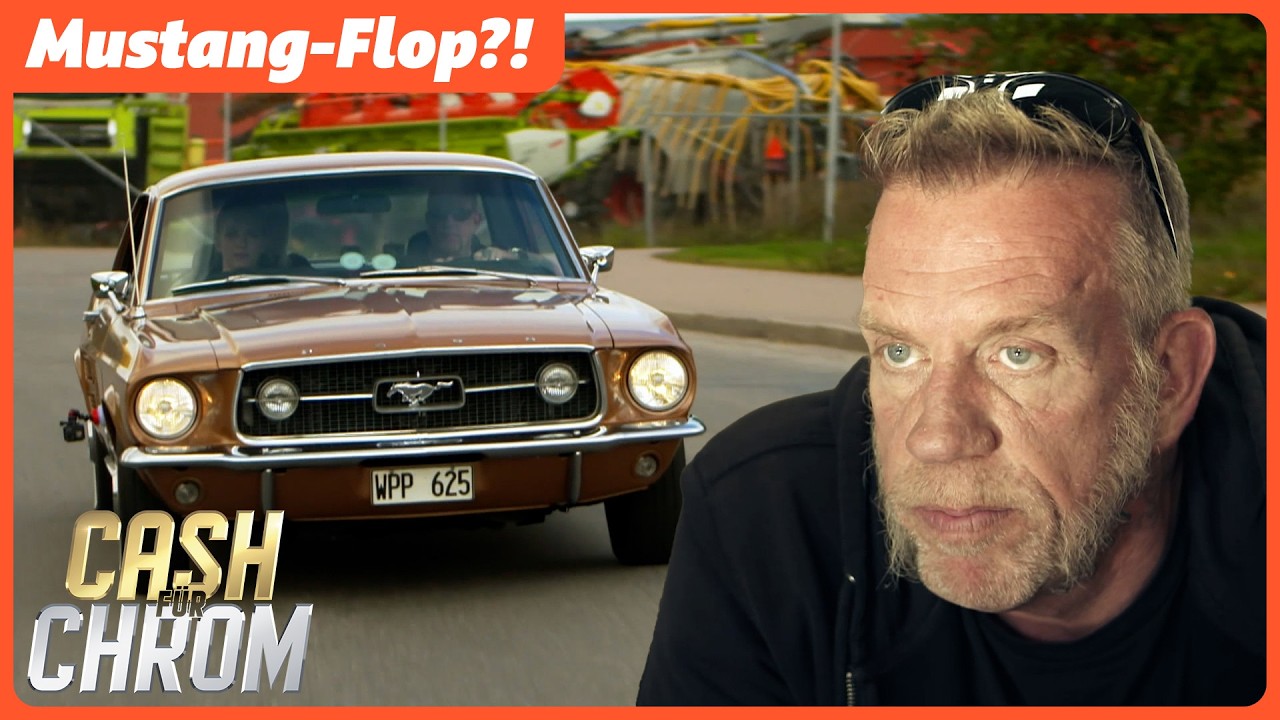 Auf Mustang-Jagd | Cash f&uuml;r Chrom | GANZE FOLGE | DMAX Motor