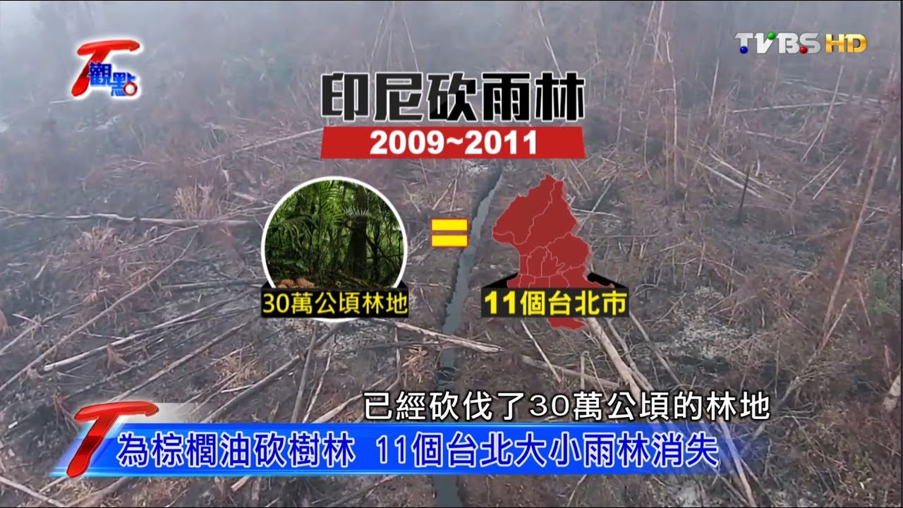 砍雨林.鑿巨坑.生物滅絕 美麗地球生態大浩劫 T觀點 20160522 (2/4)