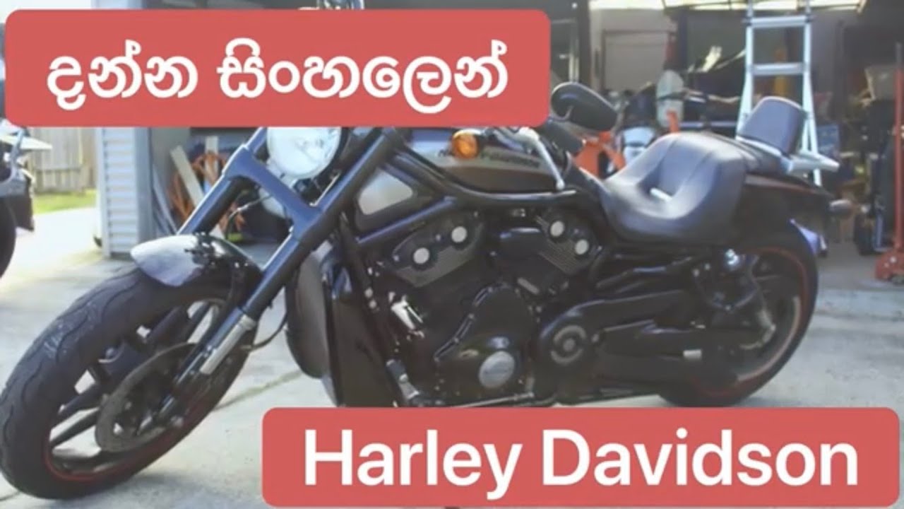 දන්න සිංහලෙන් Harley Davidson Night Rod ගැන දැනගමු.