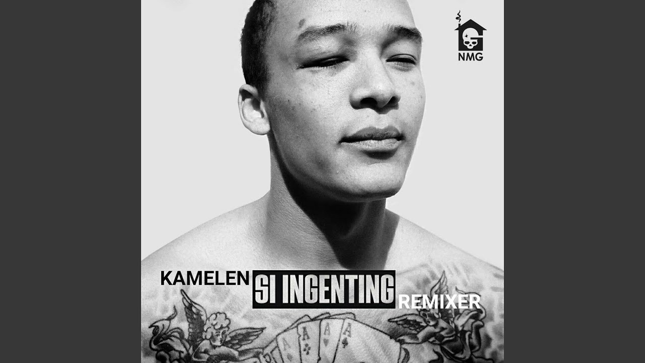 Si Ingenting Rmix