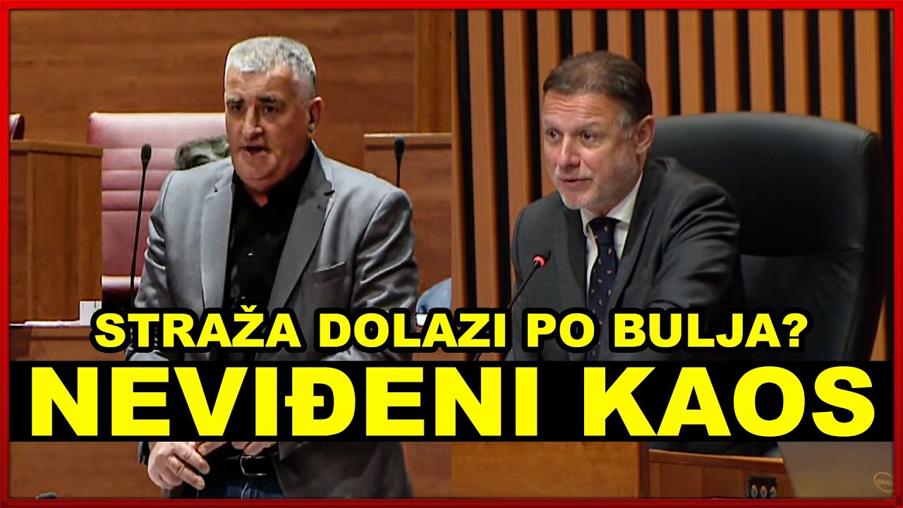 PREKINUTA SJEDNICA: Jandroković izbacio Bulja iz sabornice, Bulj ga razbucao: 