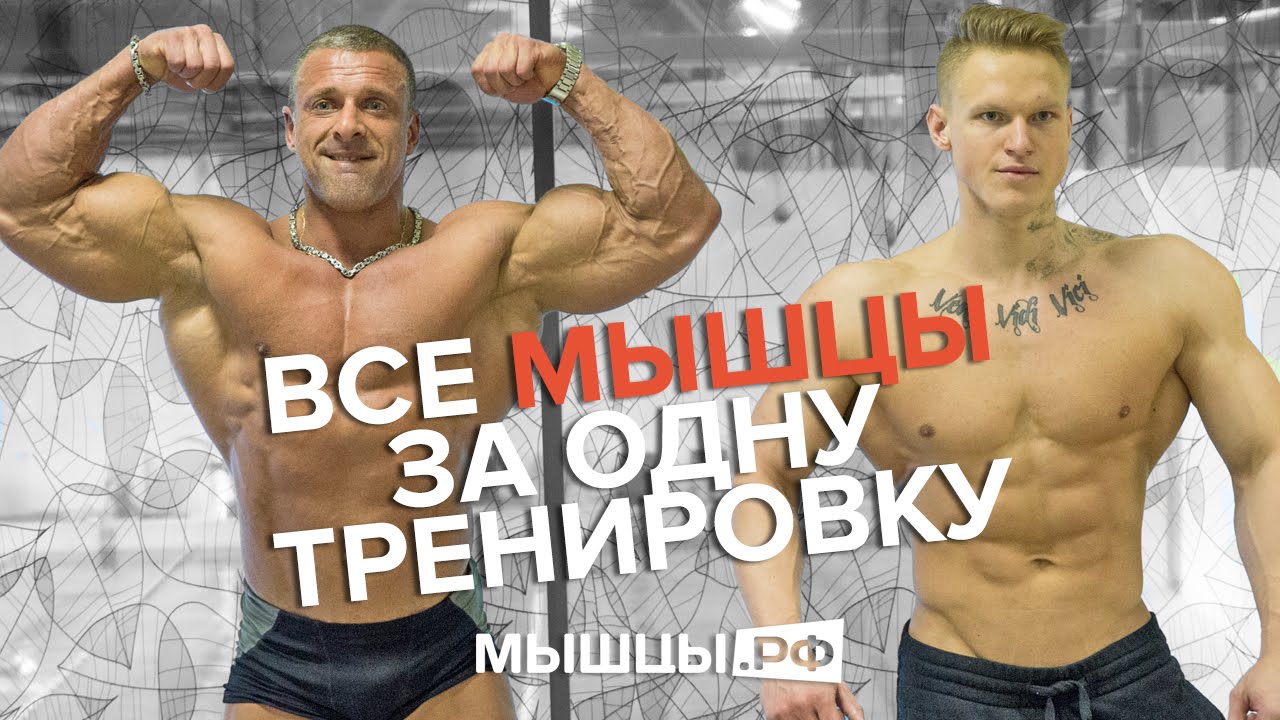 Тонизирующая тренировка на все мышцы. Линдовер-Дмитряев