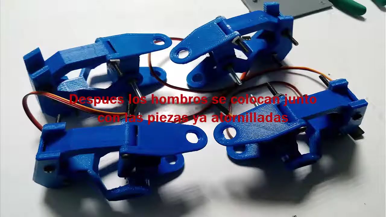 Robot insecto