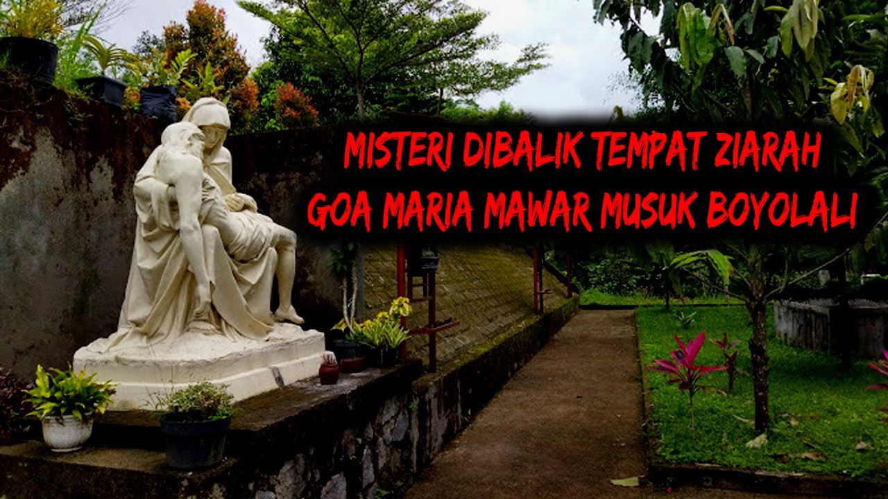 AURA MISTIS DI GOA MARIA MAWAR MUSUK BOYOLALI