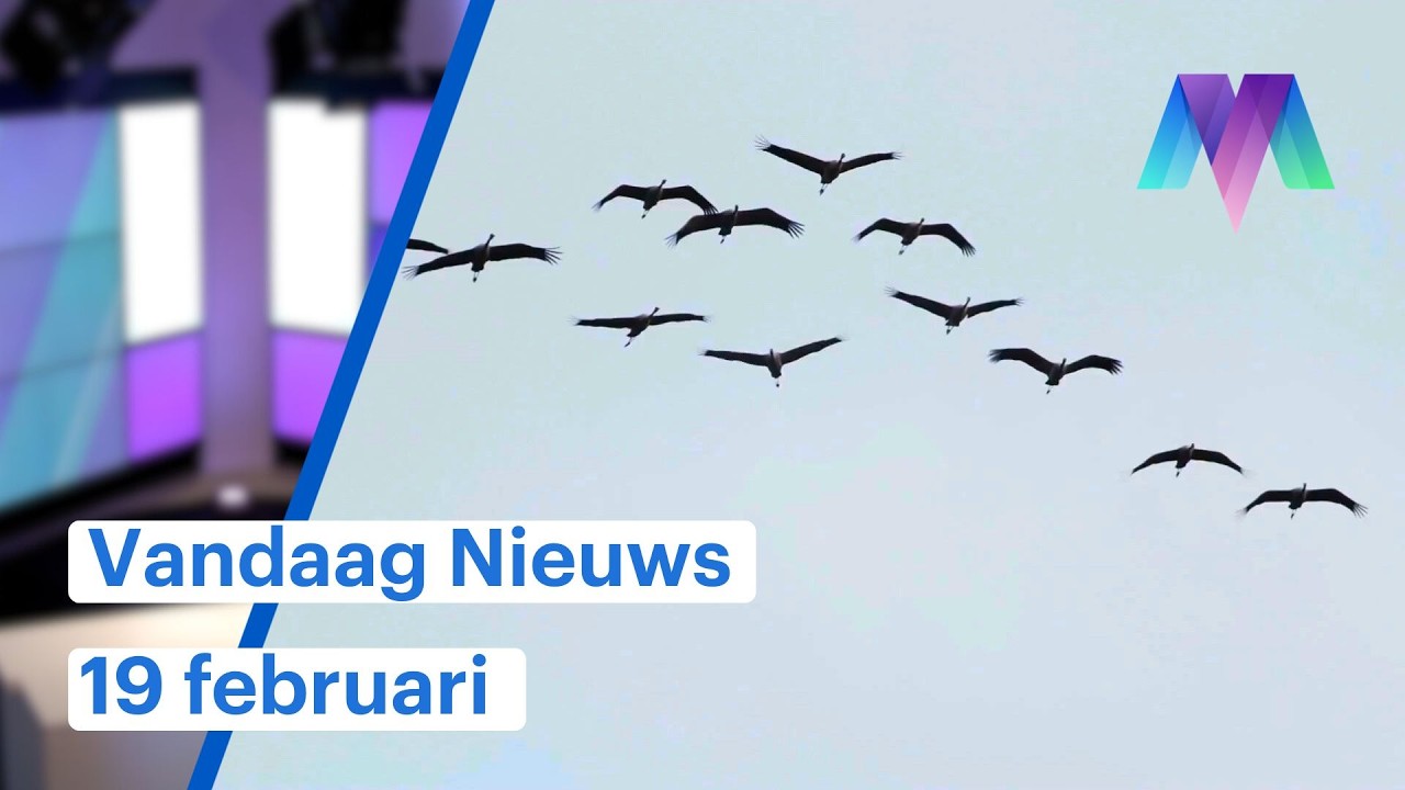 Vandaag Nieuws: minder vogels in de Westelijke Mijnstreek