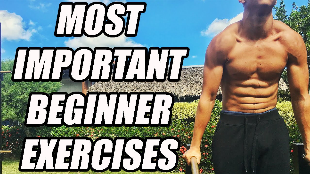 Bar Brothers DR | Beginner Calisthenics Training | Most Important Beginner Exercises
