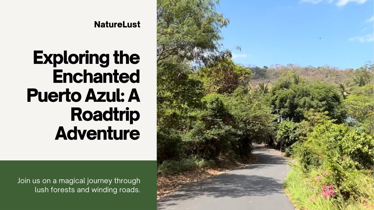 Exploring the Enchanted Puerto Azul: A Roadtrip Adventure