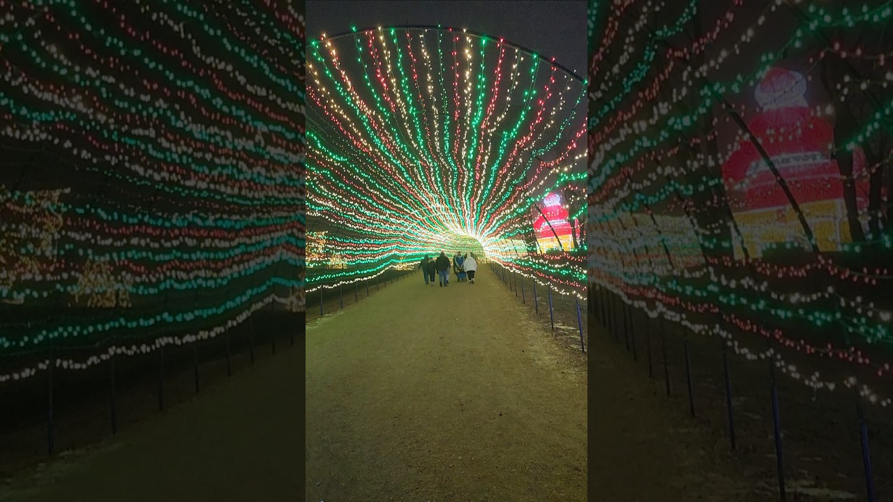 Light tunnel at Sam's Christmas Village! #christmasvillage #lightshow #light #christmaslights #santa