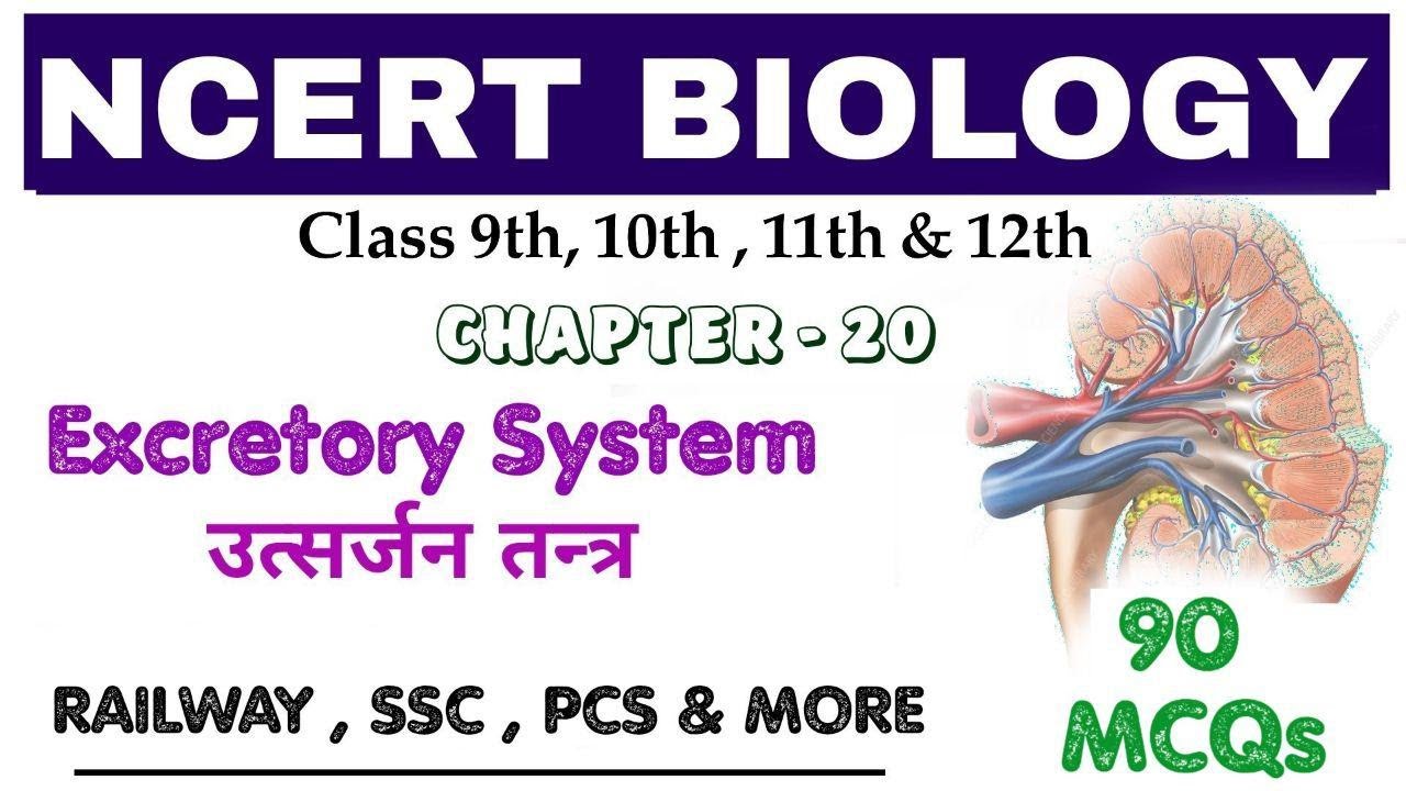 NCERT BIOLOGY : Excretory System || उत्सर्जन तंत्र || 90 V.V.I MCQs || Bilingual ||