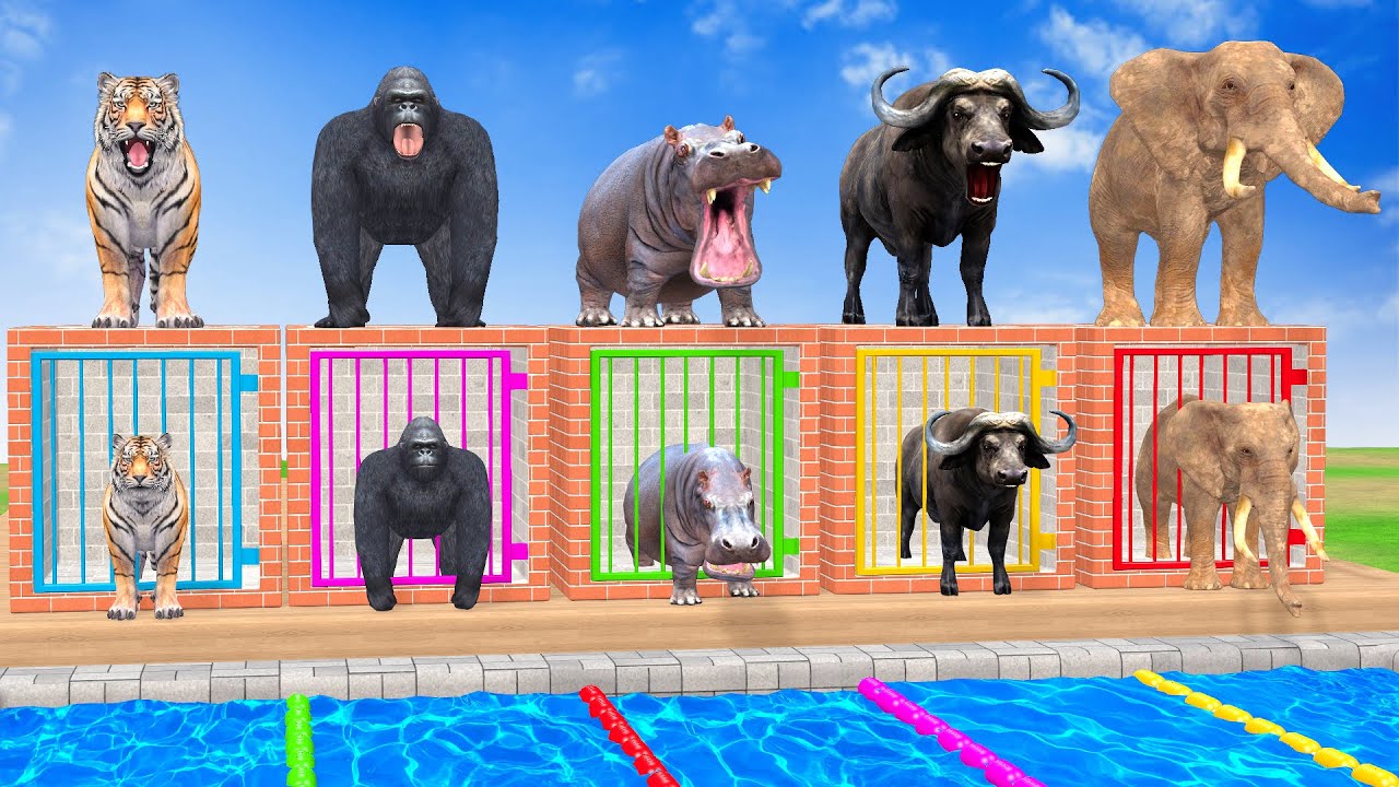 Long Slide Game With Cow Elephant Gorilla Hippopotamus Tiger - 3d Animal Game - Funny 3d Animals