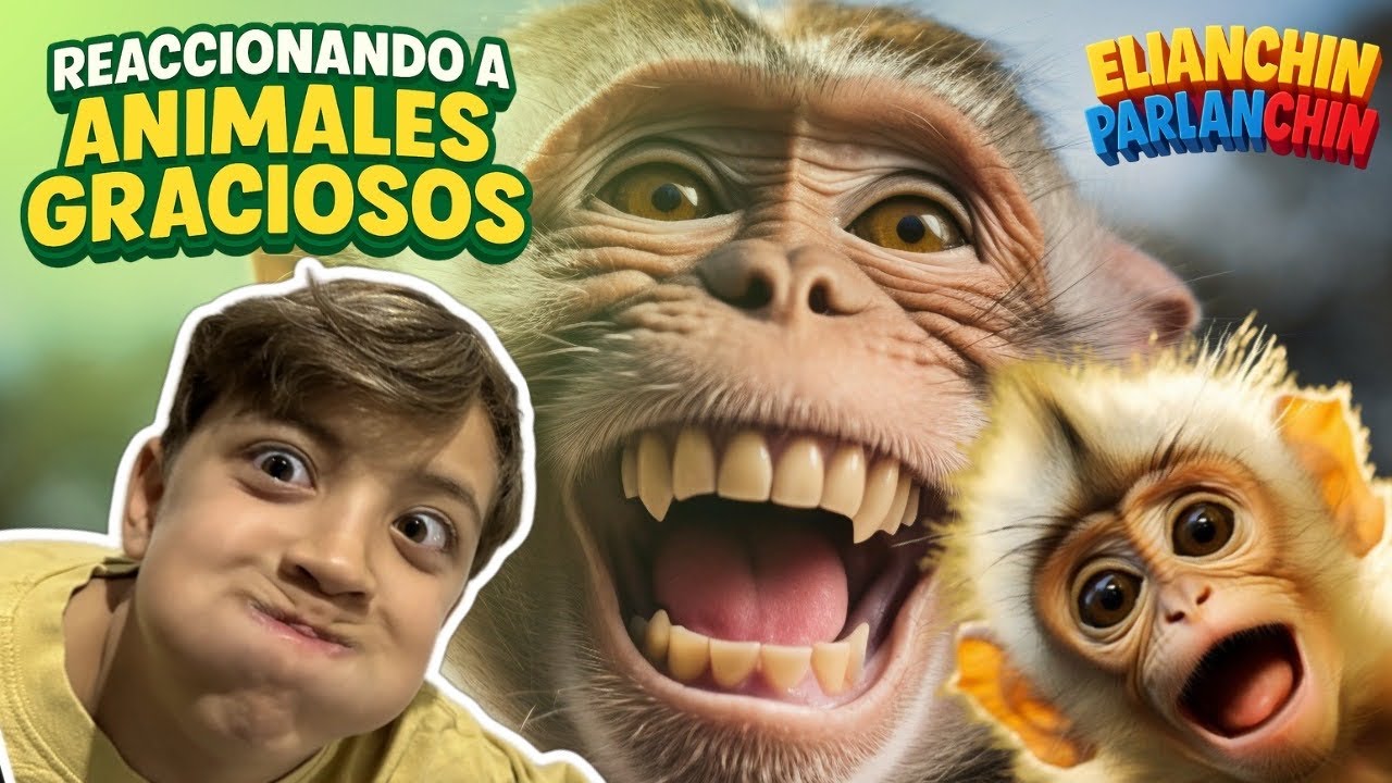 REACCIONANDO a videos de ANIMALES GRACIOSOS!! Elián se parte de RISA !! #reaction #funny #animals
