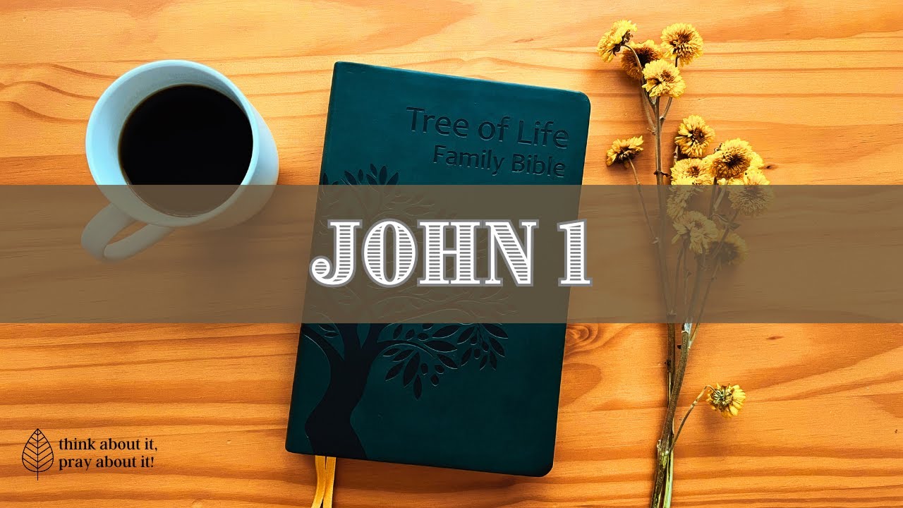 JOHN Chapter 1: Messianic Jewish Bible | TLV