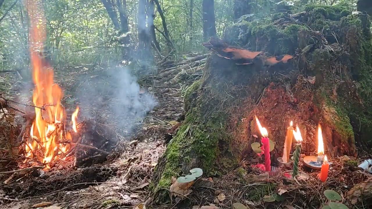 чистка спины и поясницы