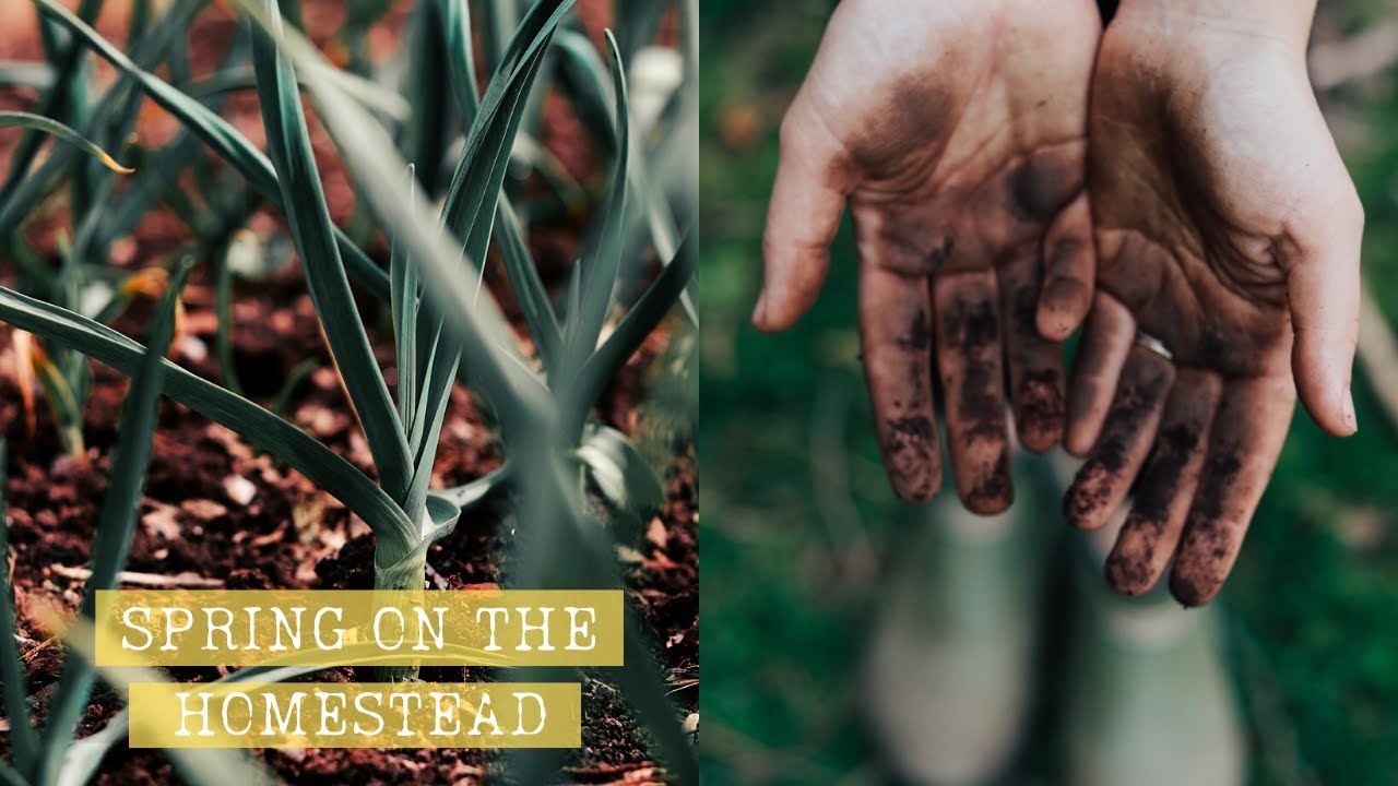 Come Work in the Garden with Me | Growing Food for a YEAR