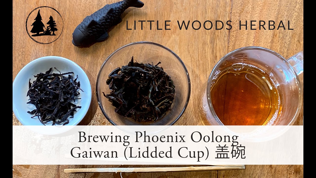 Brewing Phoenix Oolong with a Gaiwan
