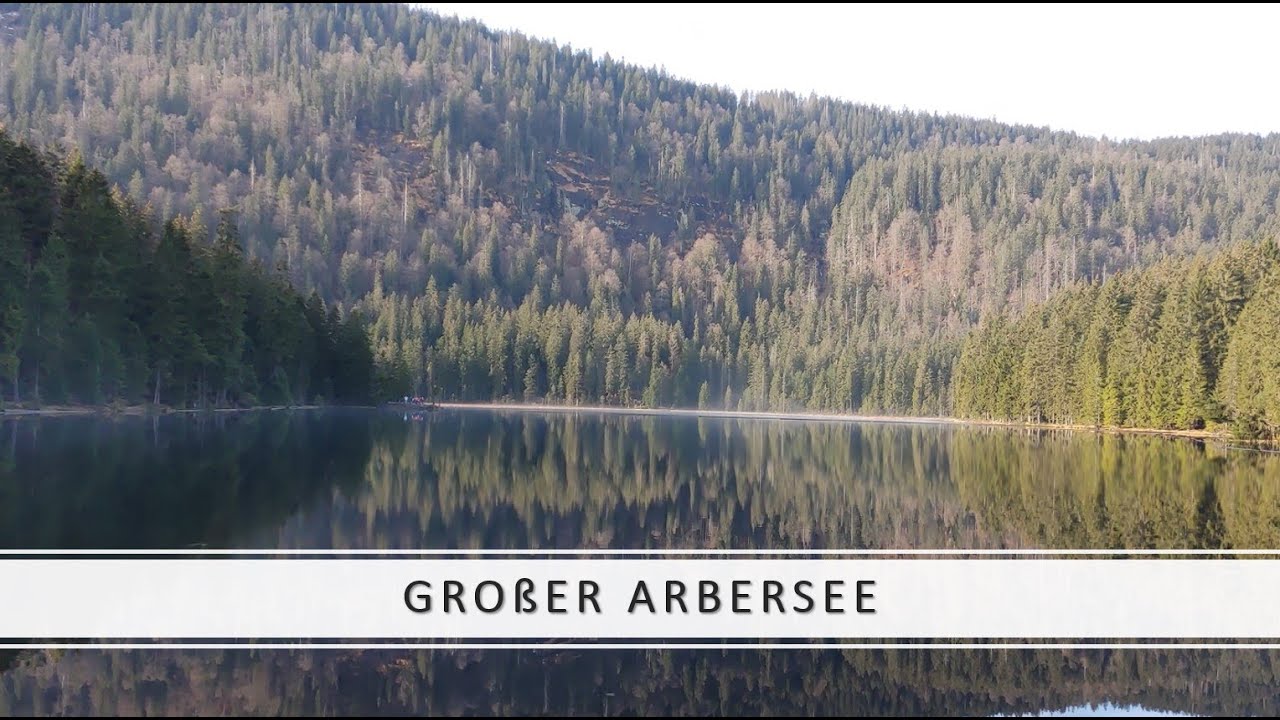 Großer Arbersee im bayerischen Wald - eine kleine Wanderung um den See