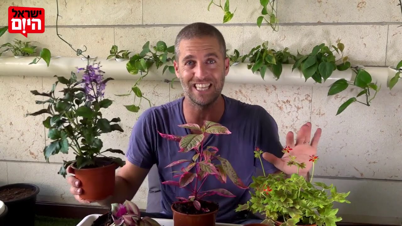 מדריך לגידול צמחים באדניות בקלות וללא מאמץ