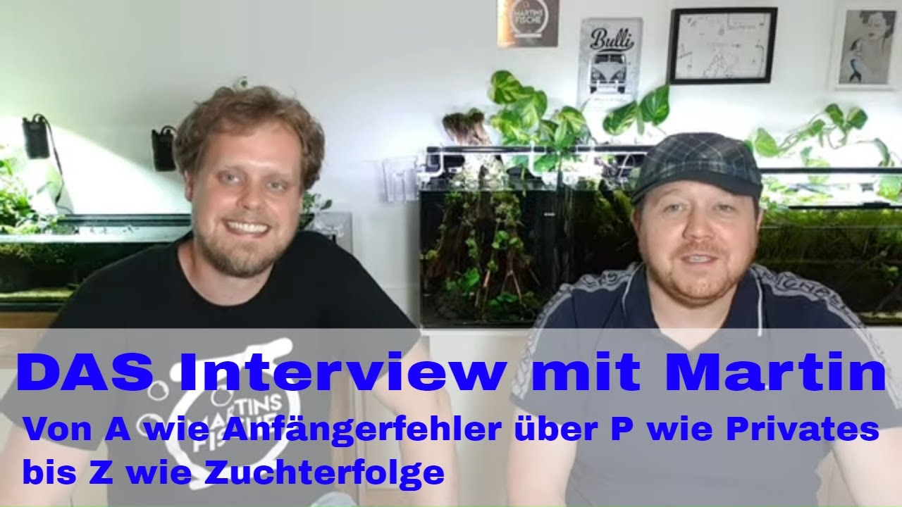 Fachsimpeln mit Martin von Martins Fische von A wie Anfängerfehler bis Z wie Zuchterfolge