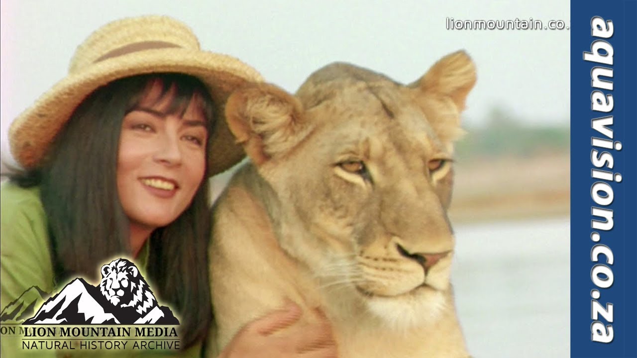 John Varty's Song for Shingalana the little hunter