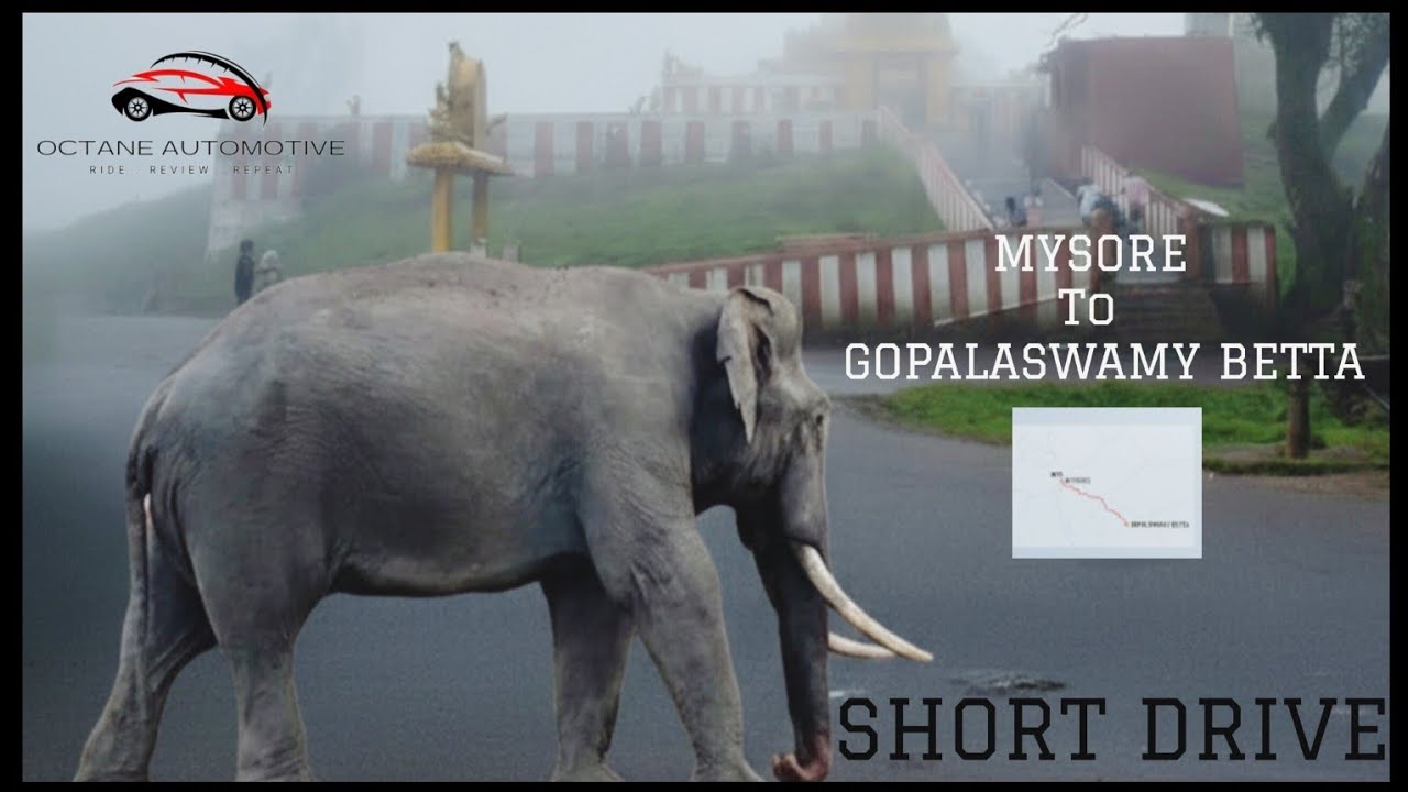 DRIVE FROM MYS - GOPALASWAMY BETTA ||  