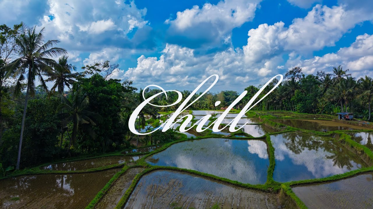 1 Hour Nature Meditation - Ubud, Bali Indonesia Rice Field - Yoga Background Music