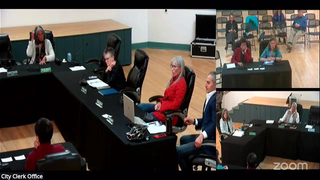 City Council Work Session Webinar
