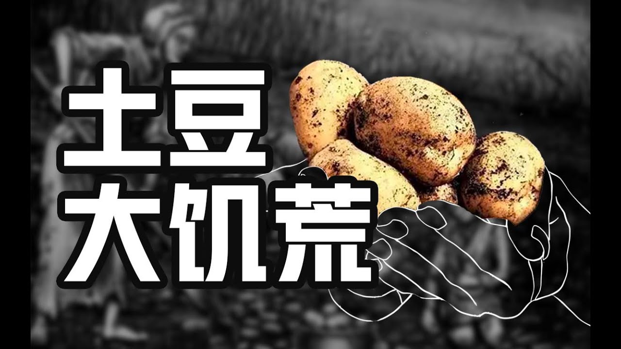 高产的土豆，是怎么饿死数百万人的？