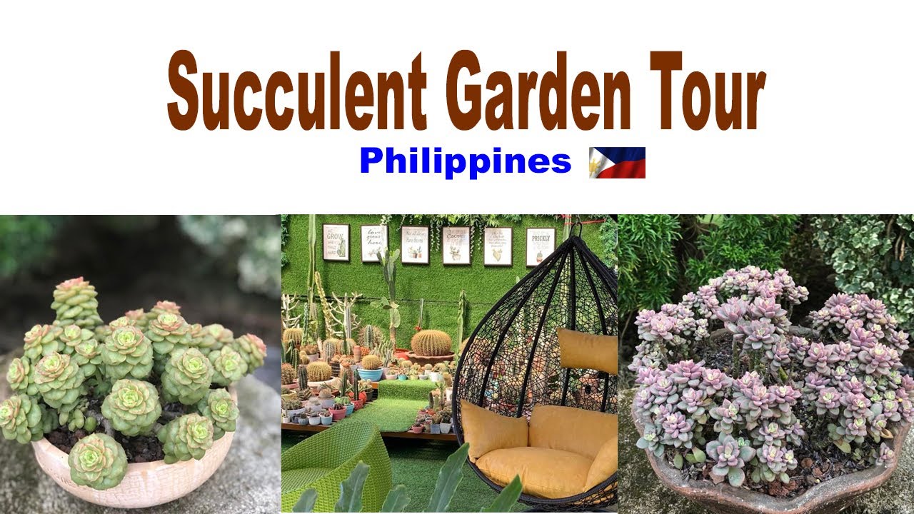 Succulent Garden Tour ( Philippines)