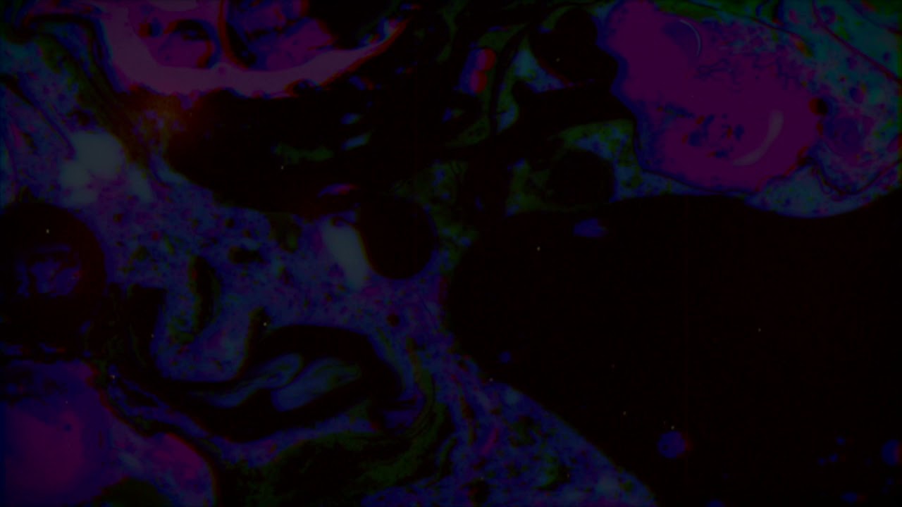 Dear Gravity & Be Still The Earth ●● Contralto (Official Video)