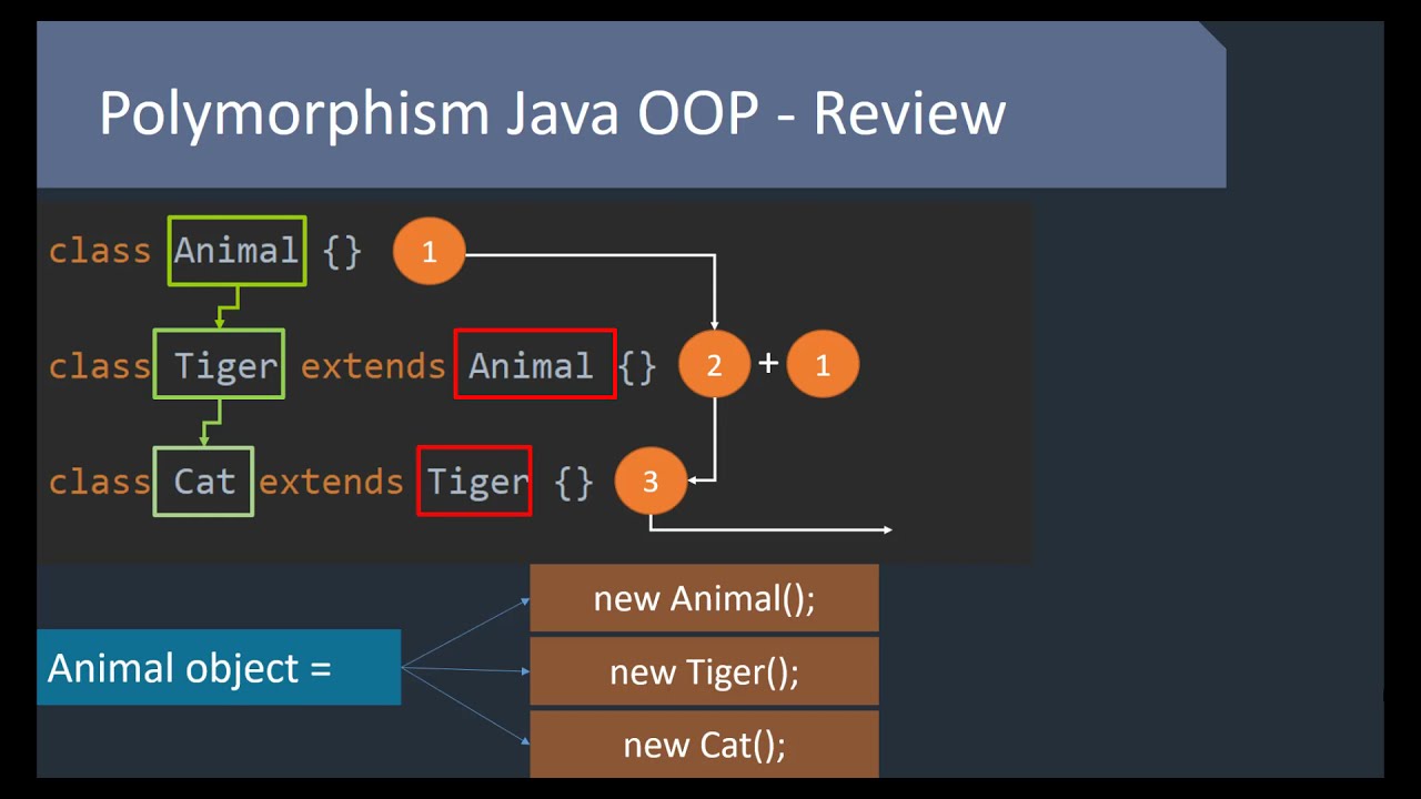 ابسط طريقة لفهم Polymorphism In OOP - تعدد الأشكال في لغة البرمجة