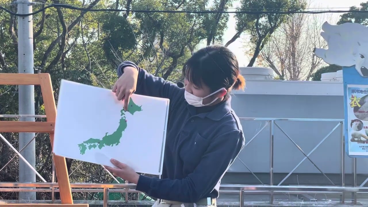 ホッキョクグマ　ユメの誕生日ガイド2