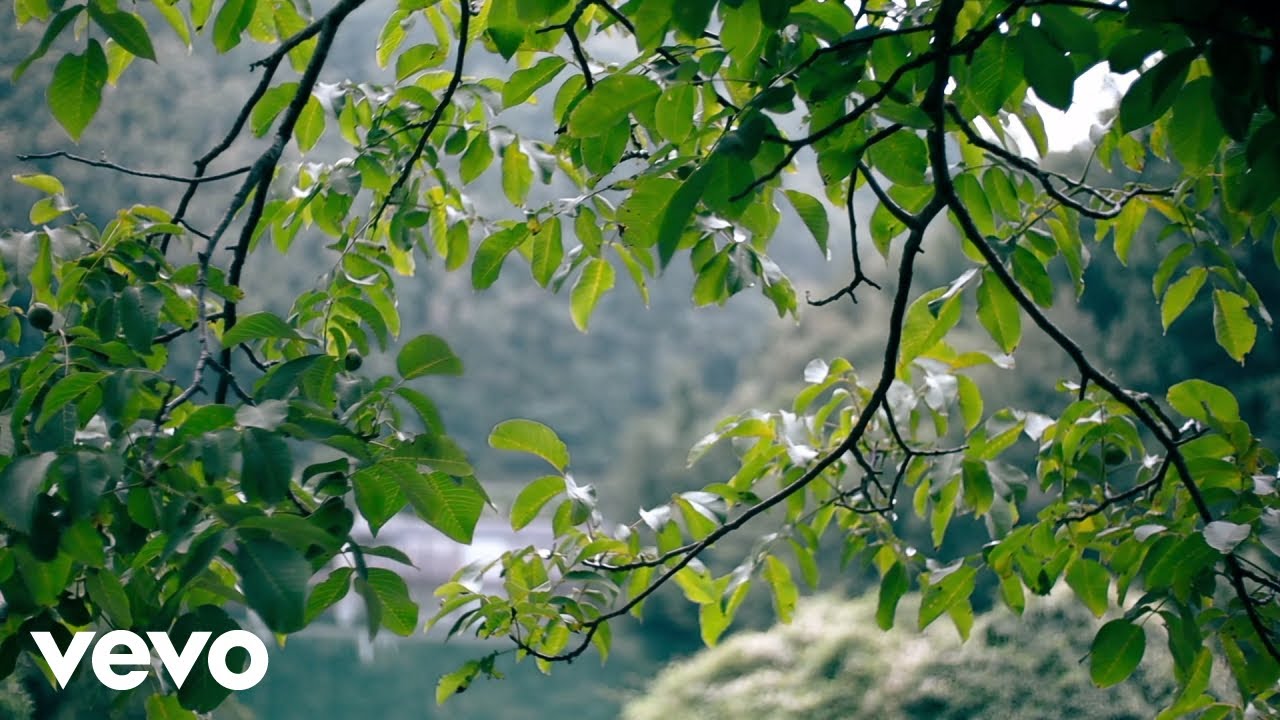 Simone Del Freo, Massimo Guidi - Light Water and Wind (Official)