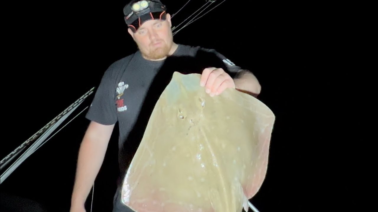 Porthcawl Sea Fishing Big Small eyed rays, Smoothounds & the dreaded dogfish