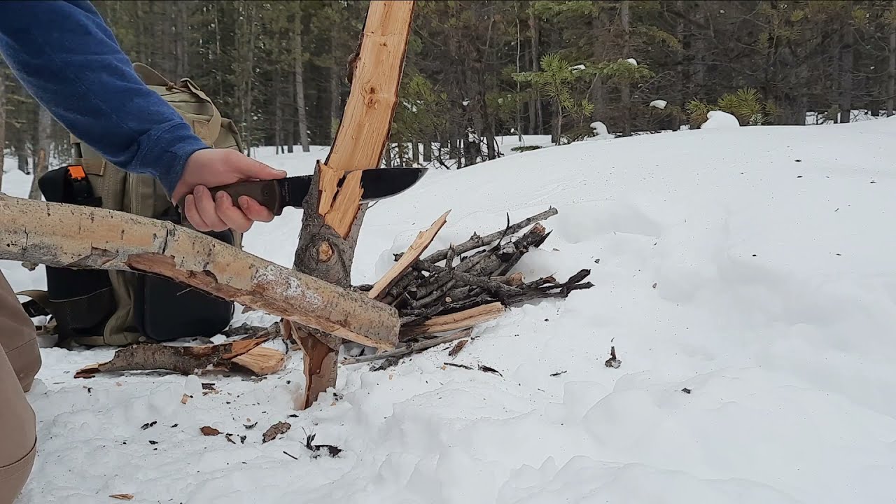 ONTARIO RAT 7