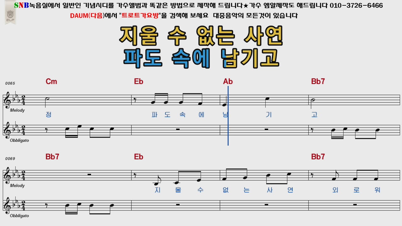 배호 파도