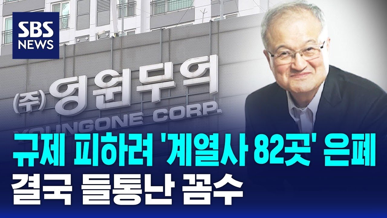 규제 피하려 '계열사 82곳' 은폐…결국 들통난 꼼수 / SBS