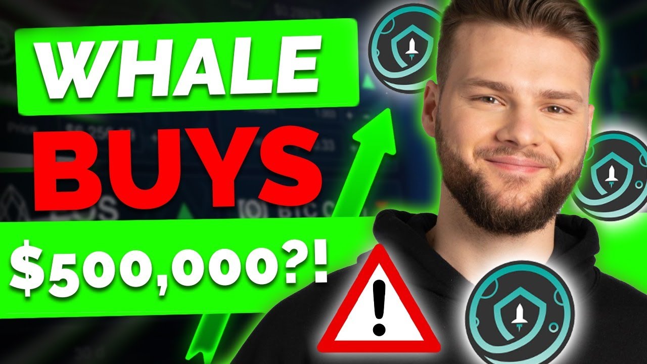 HUGE Whale Bought 500K SAFEMOON?! Binance Listing soon?