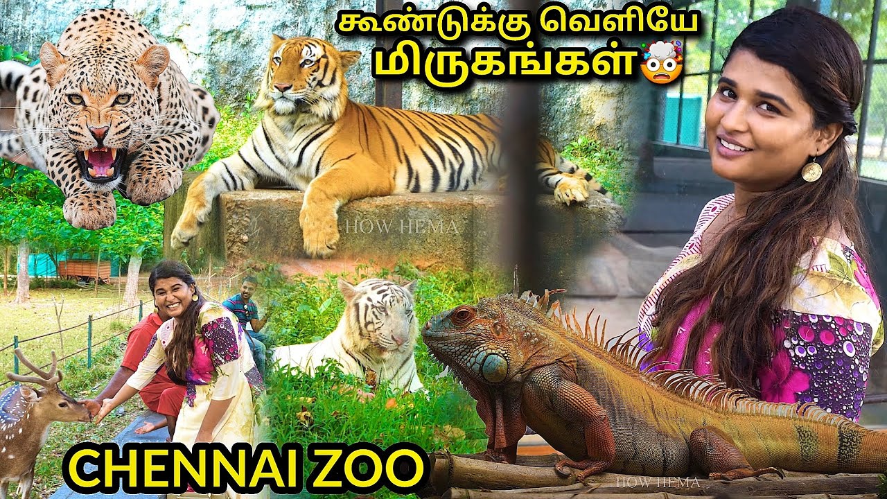 CHENNAI ZOO 2023💥| Arignar Anna Zoological park, vandalur, chennai zoo
