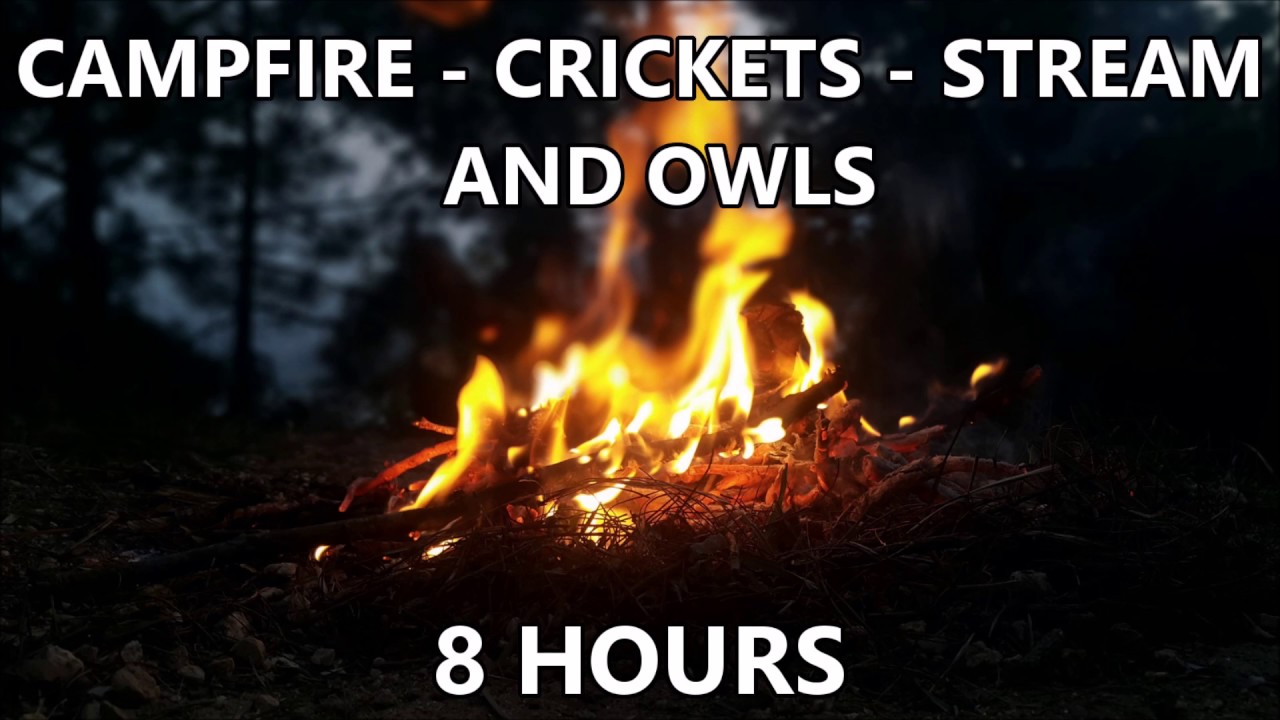 🎧 Mountain Campfire Sounds - Campfire - Stream - Crickets - Owls - 8 Hours
