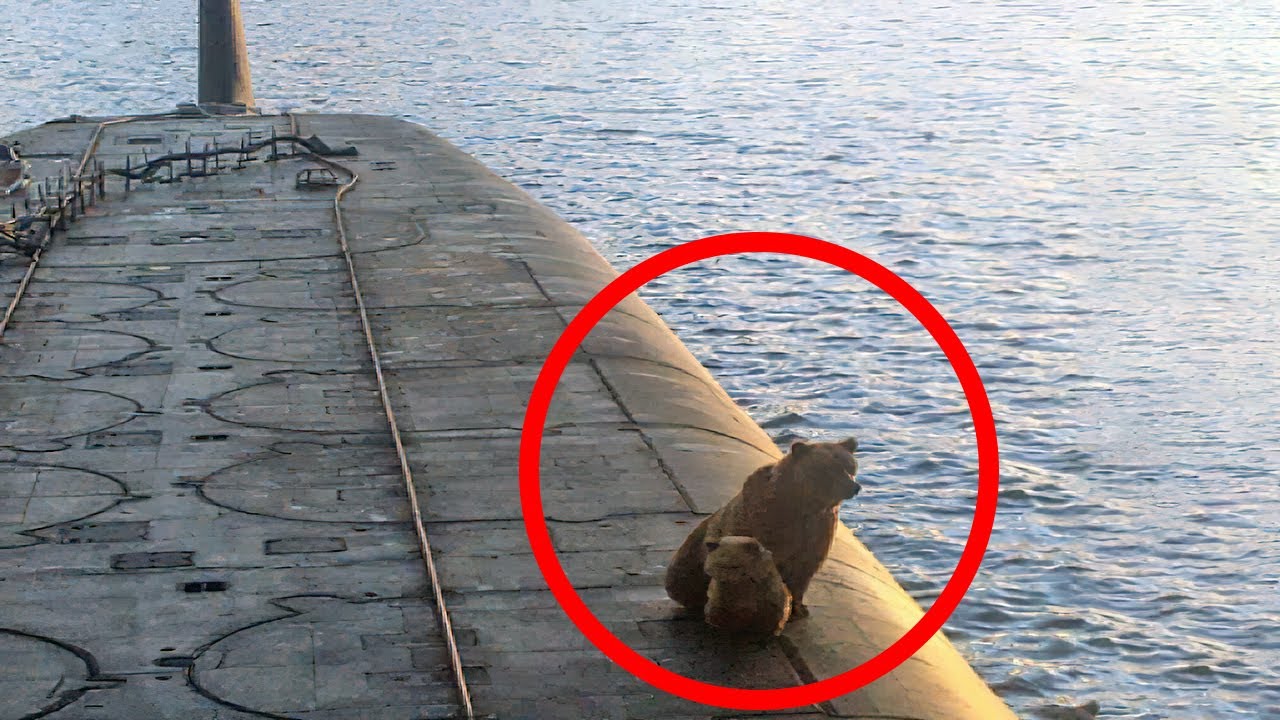 Russian Bears Jump Aboard a Nuclear Submarine