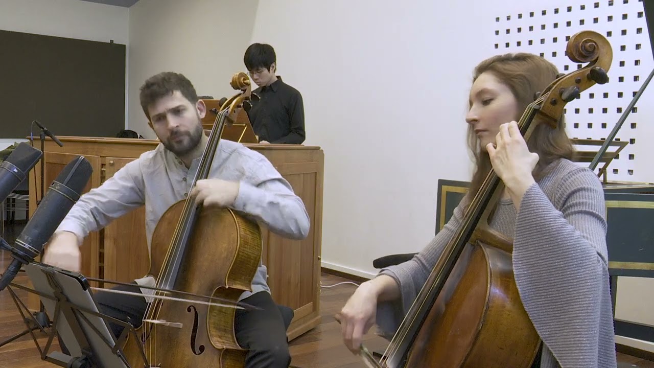 Vivaldi cello sonata nr 6 in B major, 1st movement. Raphaël Moraly Julianna David Shotaro Komoto 