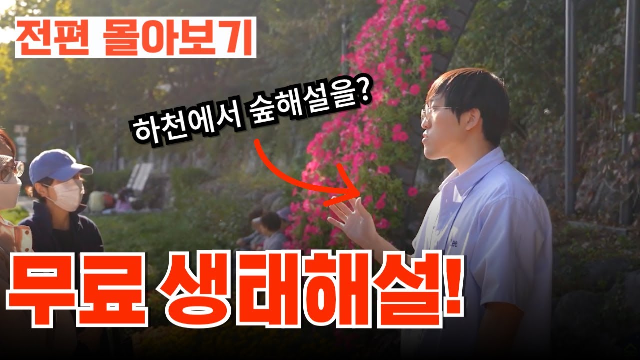 [전편 몰아보기] 무료해설! 숲해설가와 함께 생태하천으로 떠난다면?