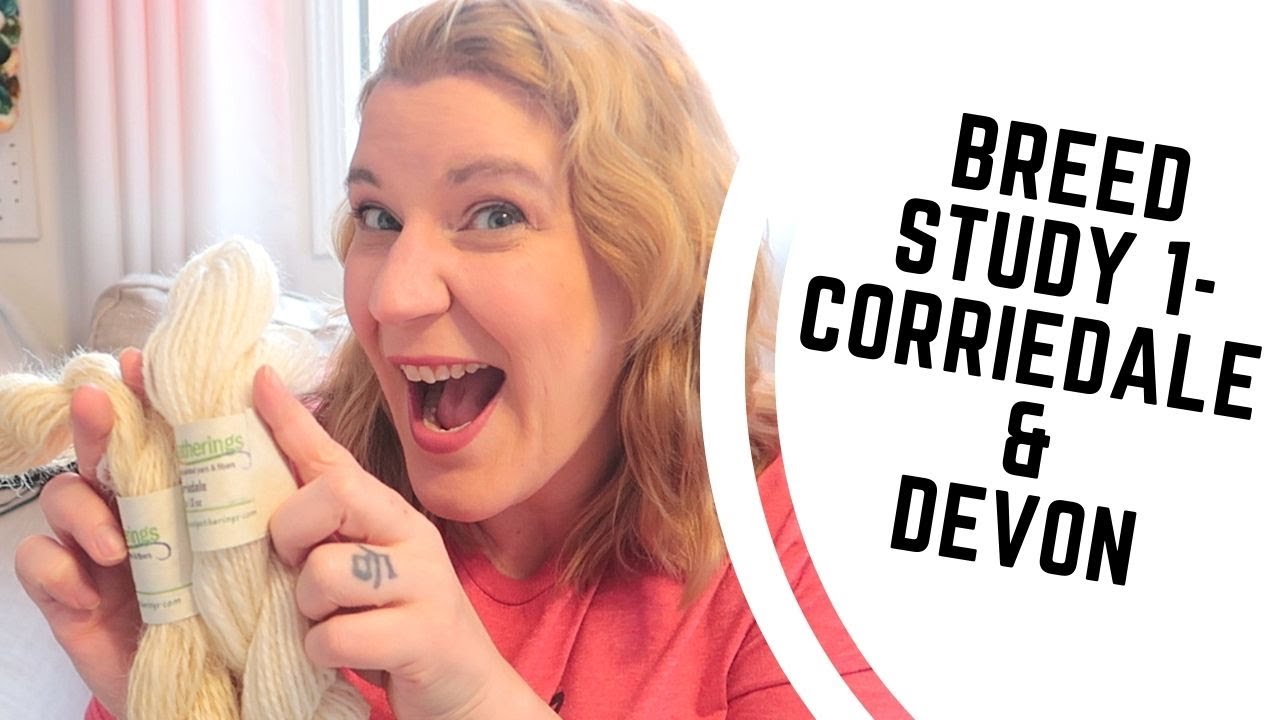 Breed Study Episode 2 - Sheep Breeds Corriedale and Devon - Woollen and Worsted Spinning/Drafting