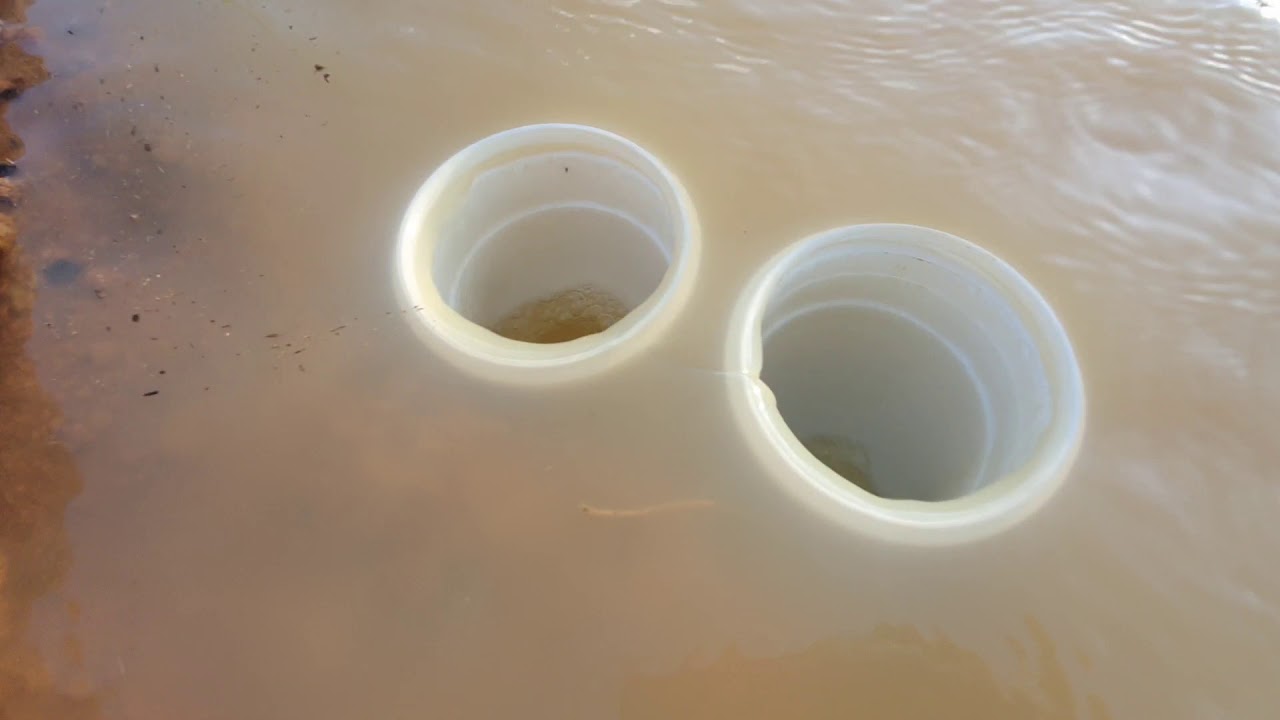 Novo ladrão da represa