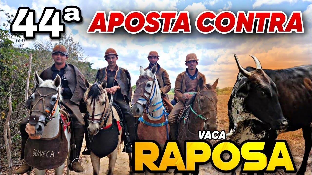VAQUEIROS DE EXÚ CORRERAM O GADO DOS HONORATO 