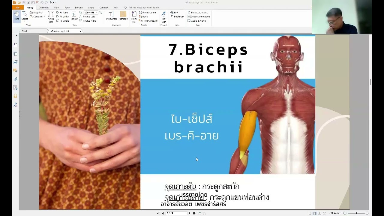 บรรยายนวดไทย ระดับ 1 ปี พ ศ  2569
