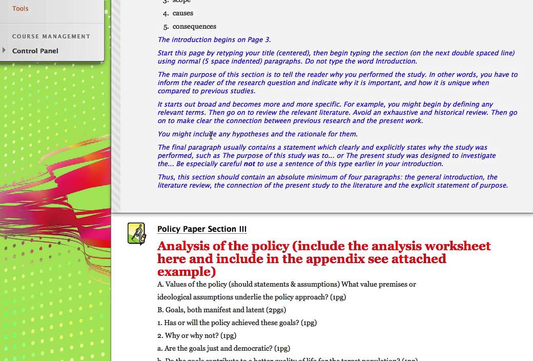 Policy Paper Instructions