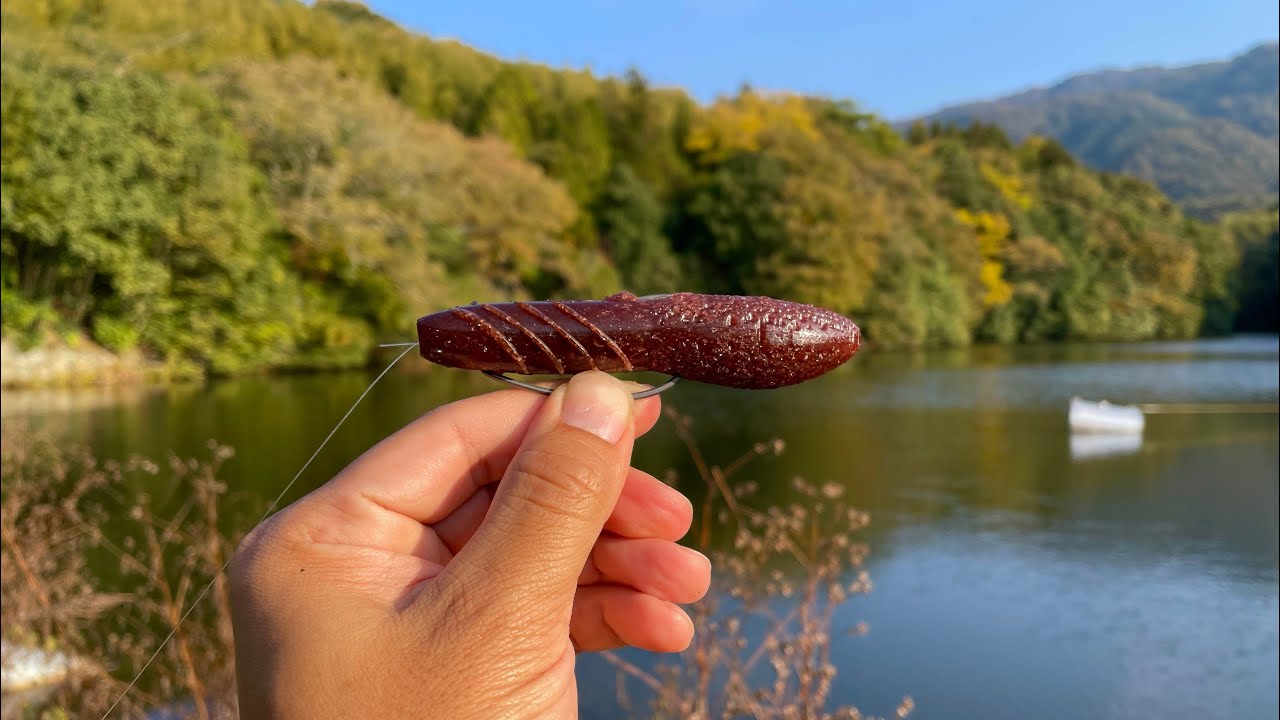 カバースキャット（晩秋～冬）釣れる使い方、実釣しながら解説します