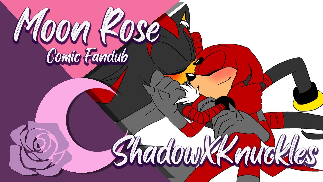 Shadow X Knukles 🏳️‍🌈🏳️‍🌈 (Comic Fandub Latino)